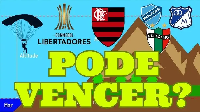 Altitude é o maior adversário do Flamengo na Libertadores, afirma Zico